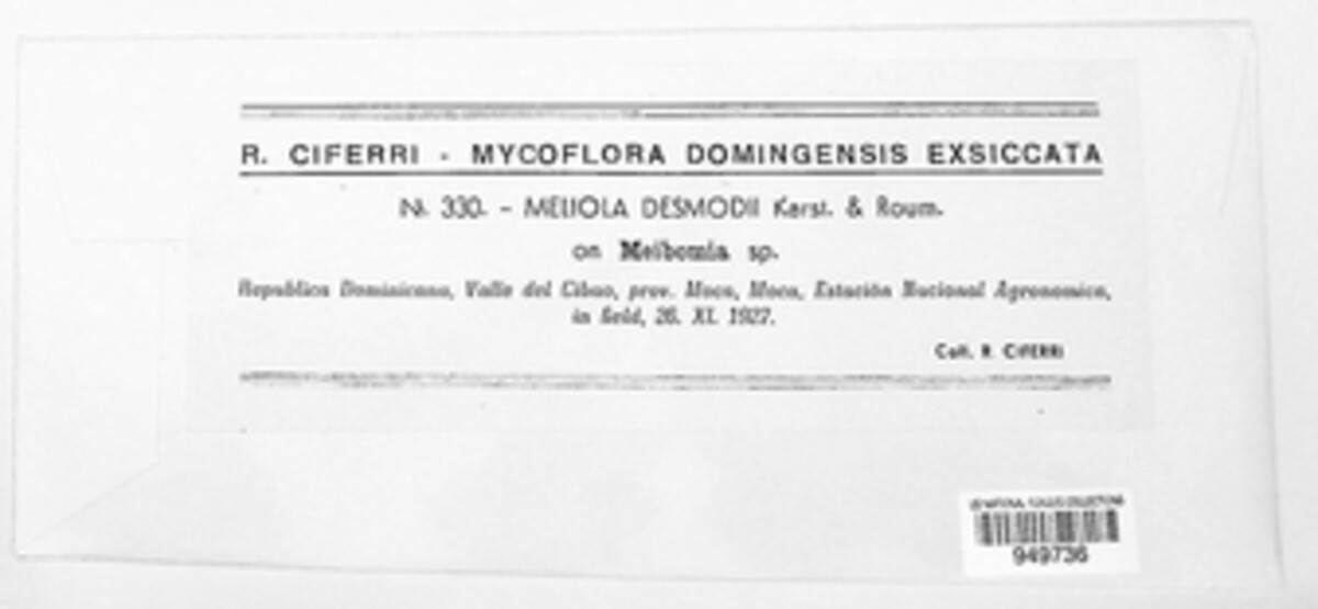 Meliola desmodii image